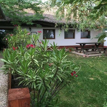 Vila Balatonkenesei Nadfedeles Lovas Vendeghaz Exteriér fotografie