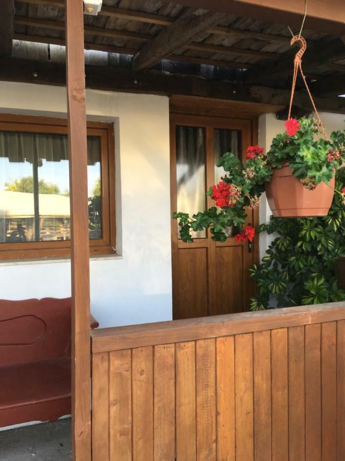 Vila Balatonkenesei Nadfedeles Lovas Vendeghaz Exteriér fotografie