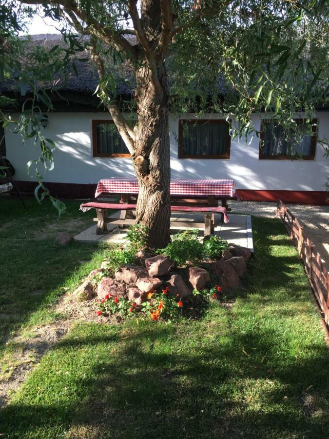 Vila Balatonkenesei Nadfedeles Lovas Vendeghaz Exteriér fotografie