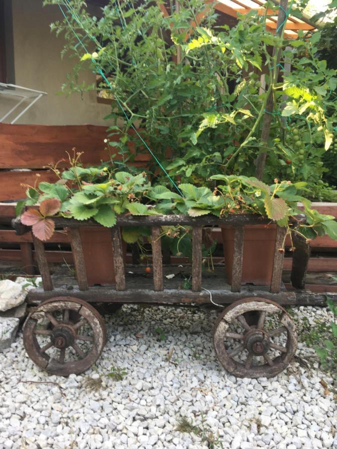 Vila Balatonkenesei Nadfedeles Lovas Vendeghaz Exteriér fotografie